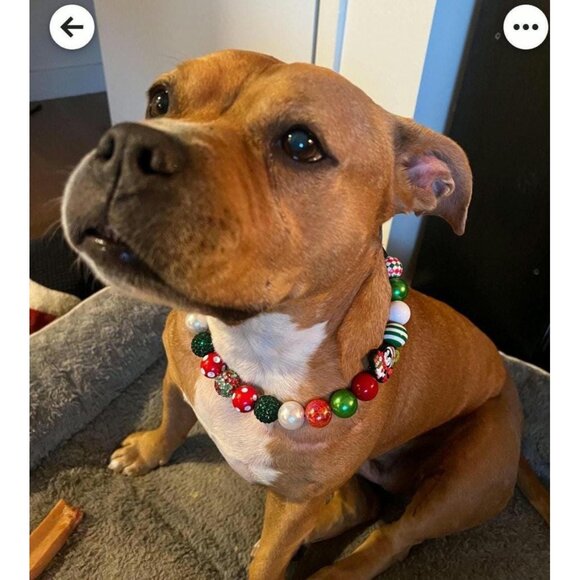 Chunky Christmas Dog Necklace: Red, Green & White Holiday Pet Jewelry - Picture 1 of 10